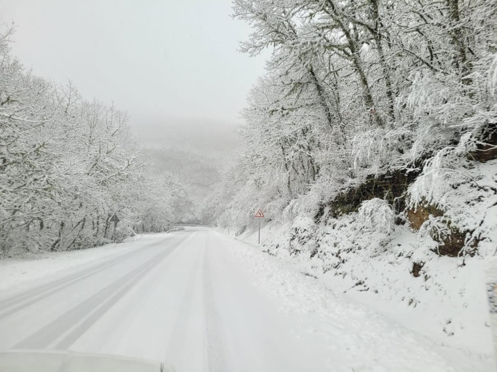 Vila Morena Corzos Dış mekan fotoğraf